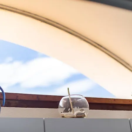 Rooftop Front De Lejlighed Saint-Cyprien (Pyrenees-Orientales)