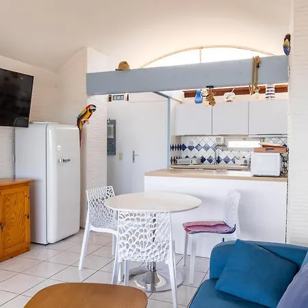 Lägenhet Rooftop Front De Saint-Cyprien (Pyrenees-Orientales)