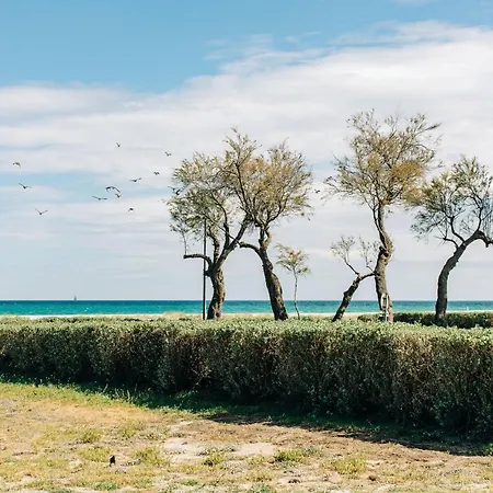 Rooftop Front De Lägenhet