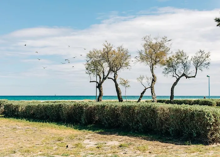 Rooftop Front De شقة